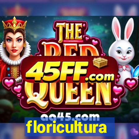 floricultura juazeiro bahia